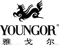 雅戈?duì)?></a></div>
							<p><a href=