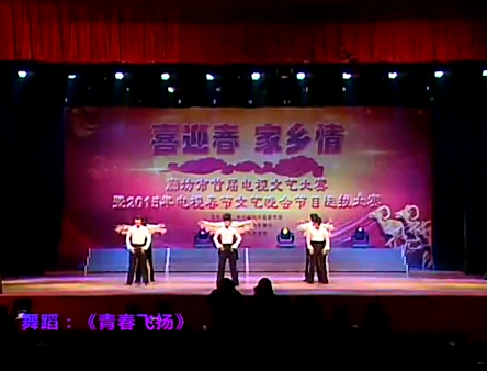舞蹈《青春飛揚》