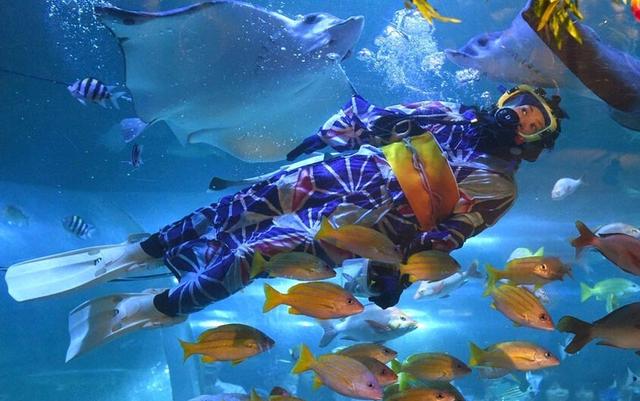 水族館職員穿夏季和服潛水喂魚網(wǎng)頁截圖