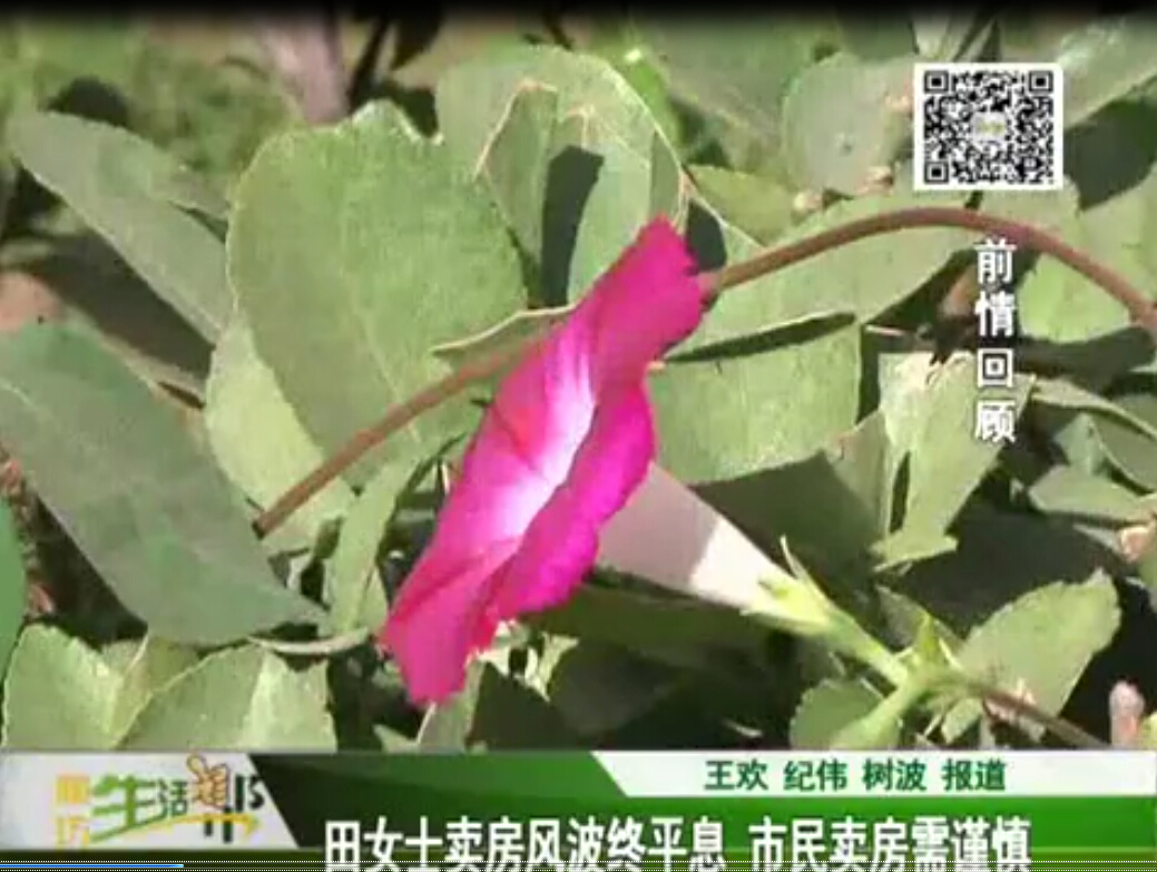 田女士賣房風(fēng)波終平息 市民賣房需謹(jǐn)慎