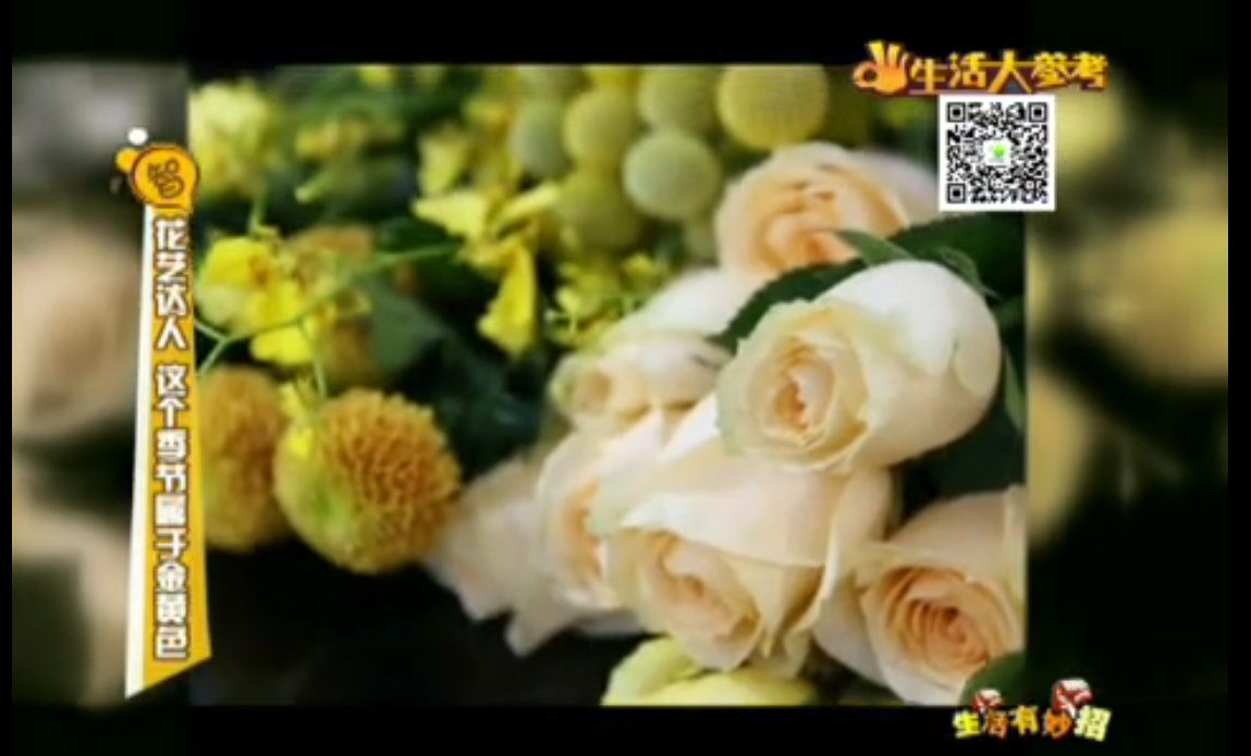 這個季節(jié)屬于金黃色