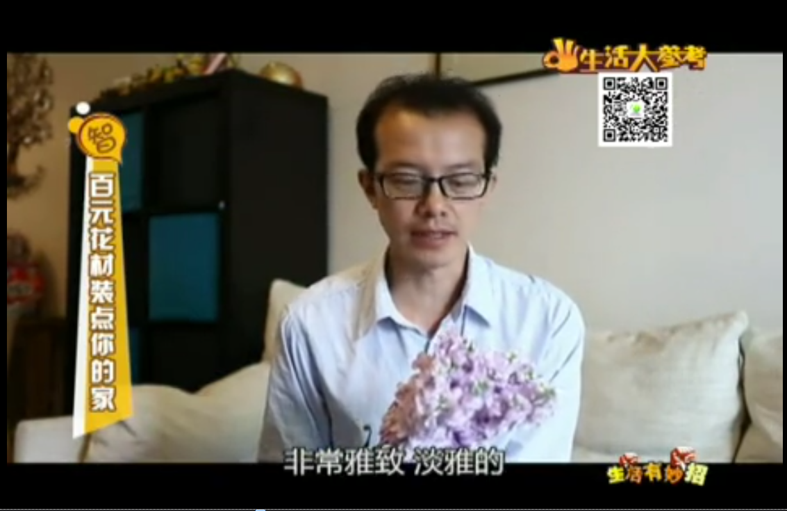 百元花材裝點(diǎn)你的家~