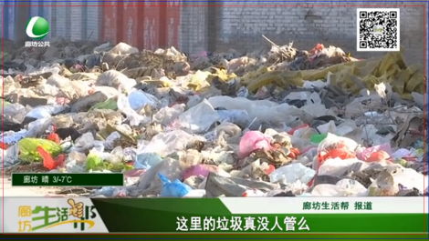 這里的垃圾真的沒人管嗎？