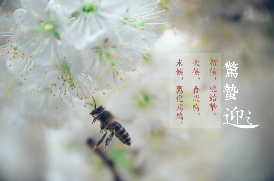 驚蟄吃這5種蔬菜，養(yǎng)生排毒效果佳