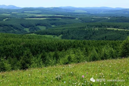 習總牽掛的塞罕壩，你去過嗎？小組剛?cè)ミ^！