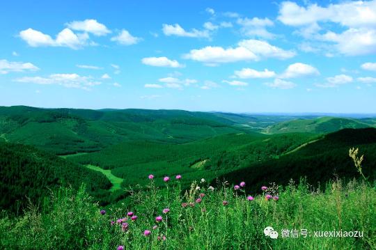 習總牽掛的塞罕壩，你去過嗎？小組剛?cè)ミ^！