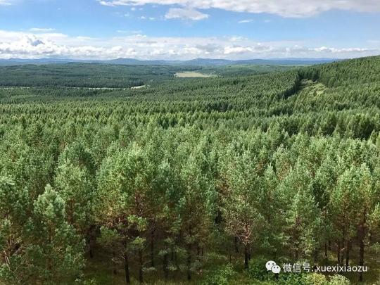 習總牽掛的塞罕壩，你去過嗎？小組剛?cè)ミ^！