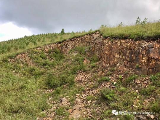 習總牽掛的塞罕壩，你去過嗎？小組剛?cè)ミ^！