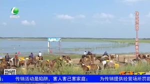 樂游天下 20190823