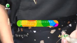 天天美食 20190823