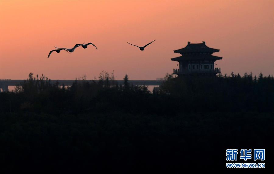 (圖文互動)(1)野生動物用“腳”為河南生態(tài)治理點贊
