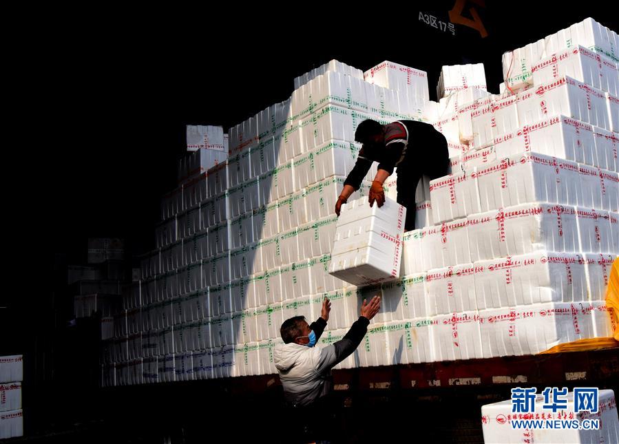 （聚焦疫情防控·圖文互動(dòng)）（4）吃的東西充足，做點(diǎn)花樣菜吧！——中部地區(qū)最大農(nóng)產(chǎn)品批發(fā)市場見聞 