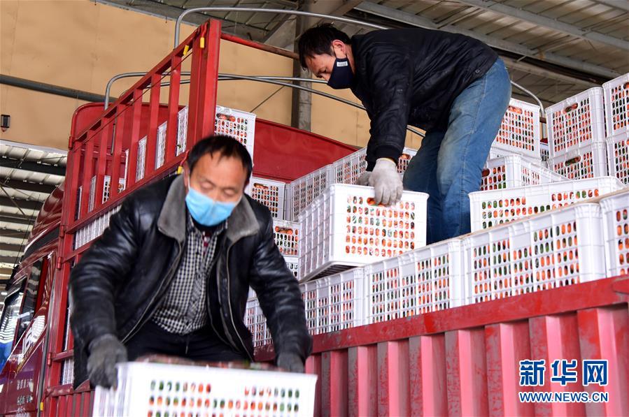 （聚焦疫情防控·圖文互動(dòng)）（5）吃的東西充足，做點(diǎn)花樣菜吧！——中部地區(qū)最大農(nóng)產(chǎn)品批發(fā)市場見聞 