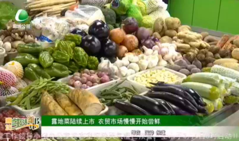 露地菜陸續(xù)上市 農貿市場慢慢開始嘗鮮