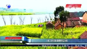 人間三月芳菲始 踏青賞花正當(dāng)時(shí)