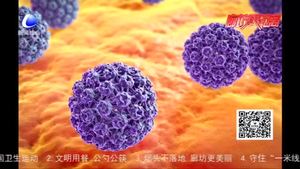 專(zhuān)家呼吁關(guān)注宮頸癌預(yù)防 接種HPV疫苗別再遲疑