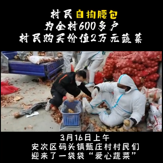 村民自掏腰包為全村600多戶村民 購(gòu)買(mǎi)價(jià)值2萬(wàn)元蔬菜
