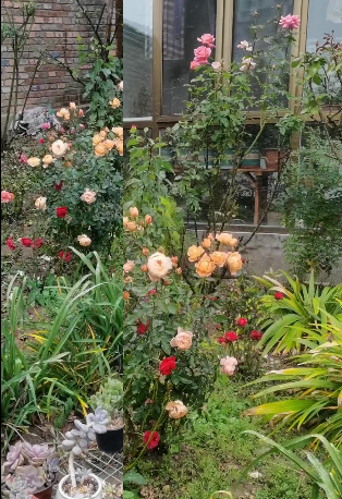 廊坊市安次區(qū)仇莊鎮(zhèn)47個村莊全部實行村規(guī)民約 鄉(xiāng)風文明蔚然成風