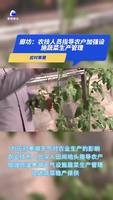 應對寒潮：農(nóng)技人員指導農(nóng)戶加強設施蔬菜生產(chǎn)管理
