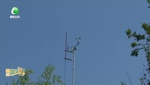 寒露節(jié)氣:秋濃露凝氣爽風涼 注意防寒保暖