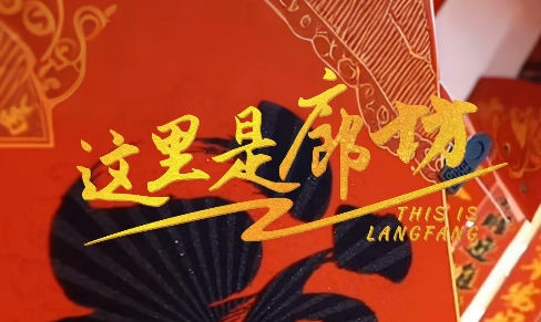 【這里是廊坊】廊坊有“貨”，新春狂歡不打烊！