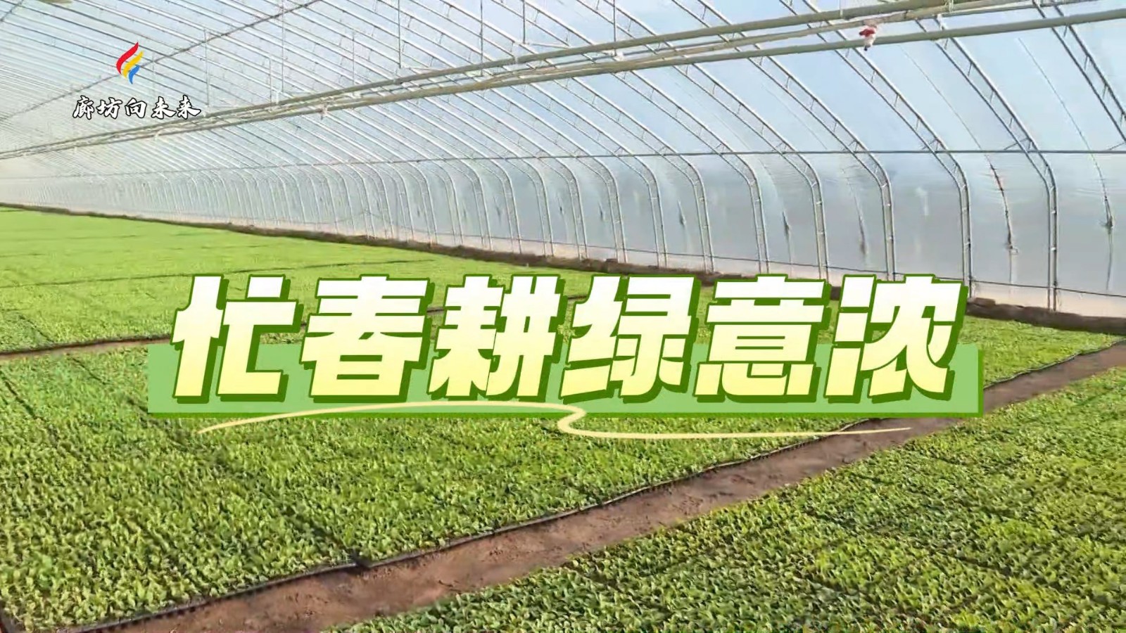 短視頻丨忙春耕綠意濃