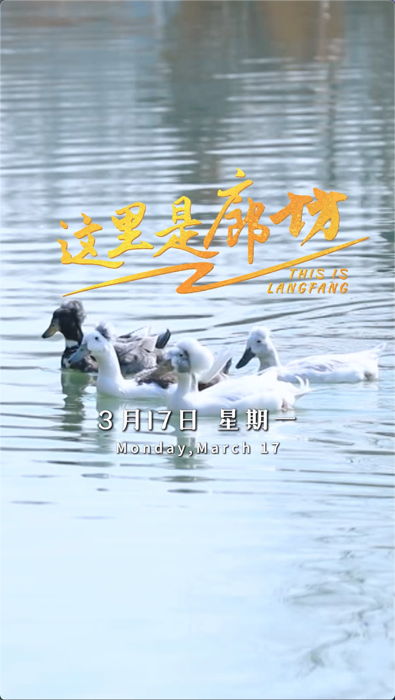 【這里是廊坊】大廠域見頤和健康文化旅游產(chǎn)業(yè)園