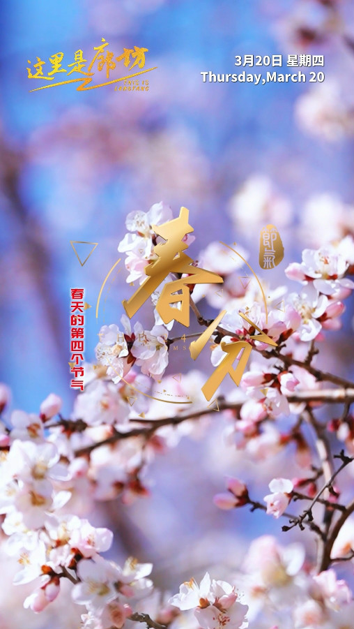 【這里是廊坊】春天的第四個節(jié)氣——春分