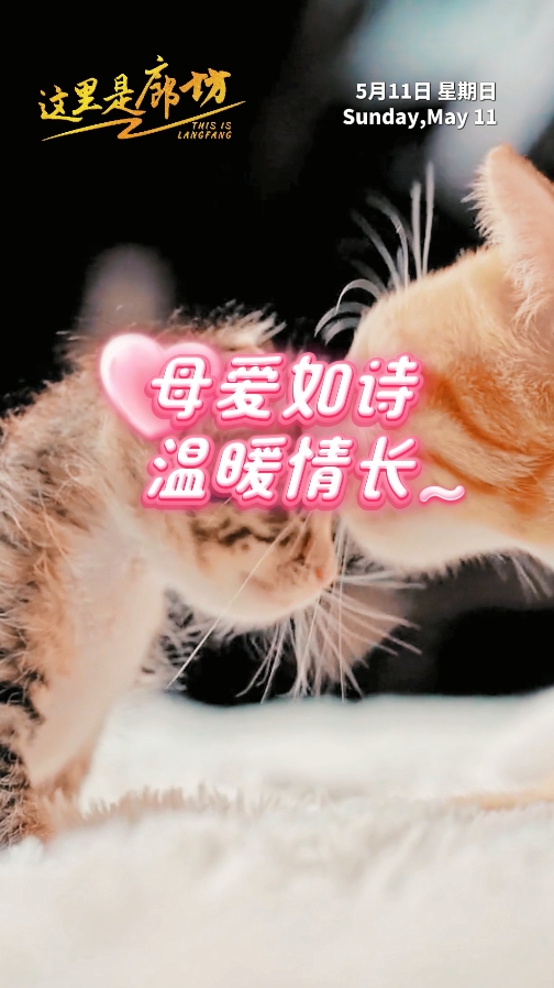 【這里是廊坊】母愛如詩(shī) 溫暖情長(zhǎng)~