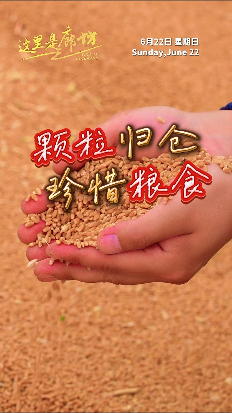 【這里是廊坊】顆粒歸倉 珍惜糧食