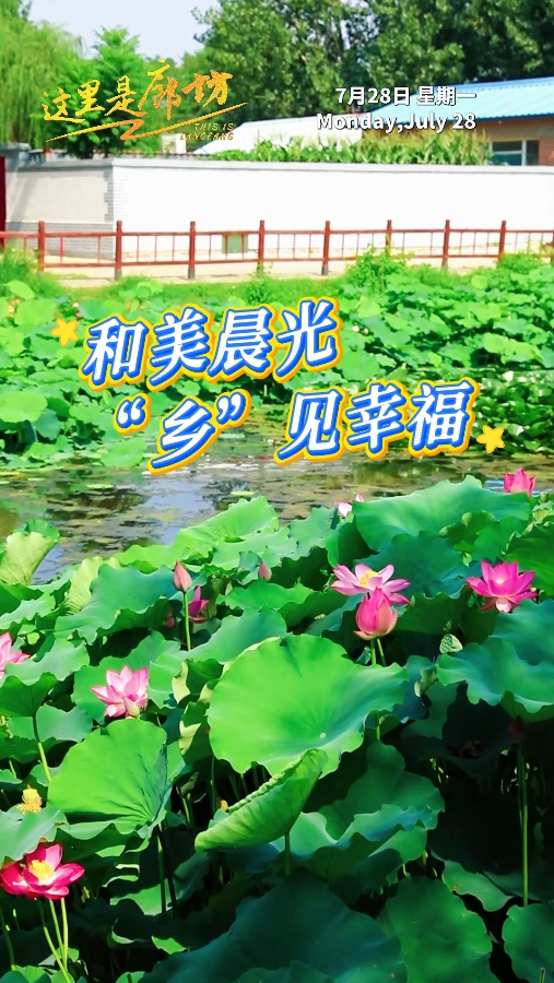 【這里是廊坊】和美晨光 “鄉(xiāng)”見幸福