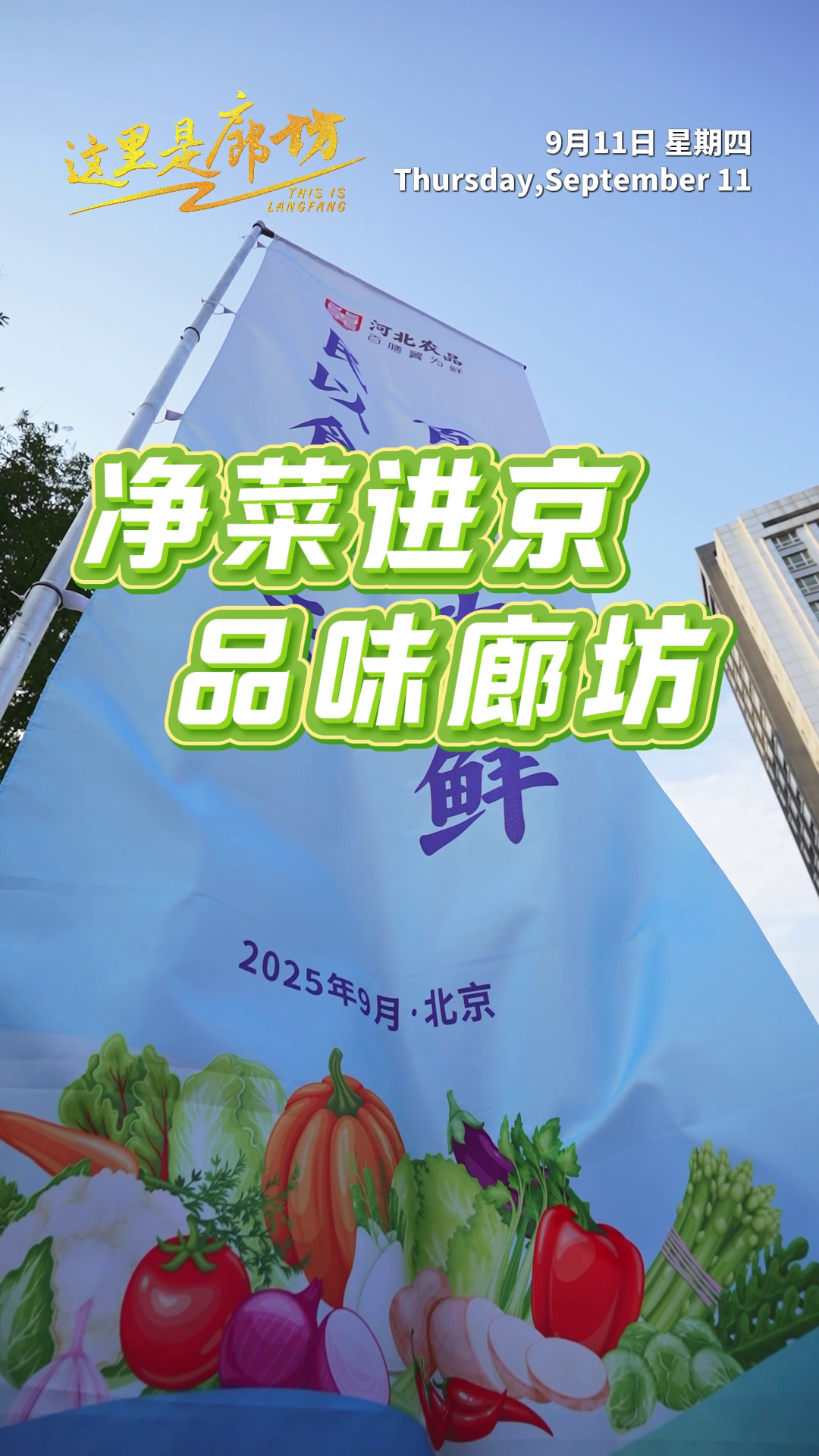 【這里是廊坊】?jī)舨诉M(jìn)京 品味廊坊