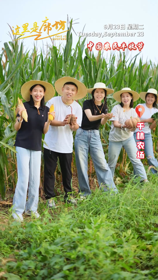 【這里是廊坊】這是希望的田野 這是豐收的廊坊