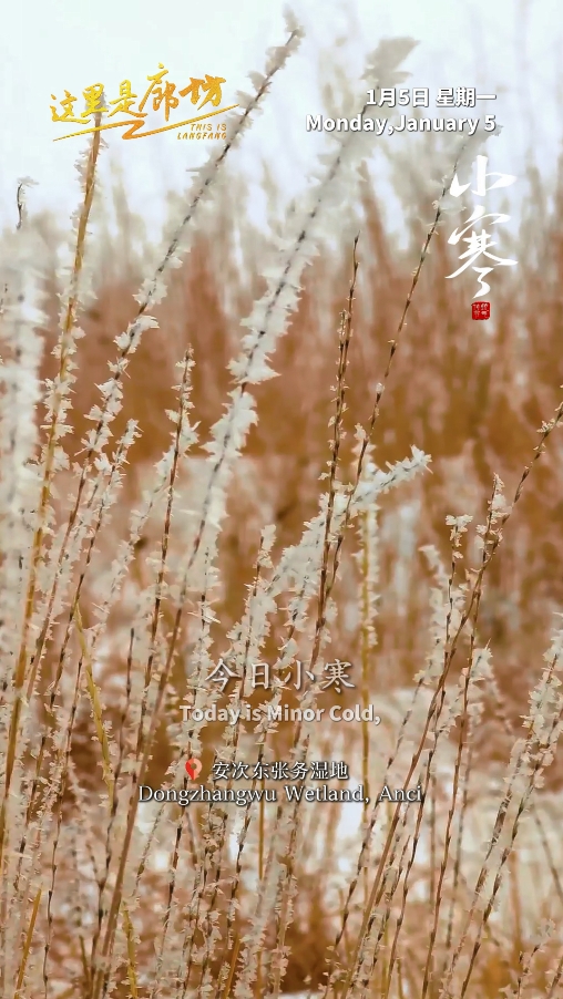 【這里是廊坊】今日小寒
