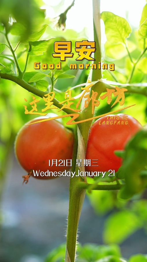 【這里是廊坊】愿你日子紅火 好運(yùn)翻番