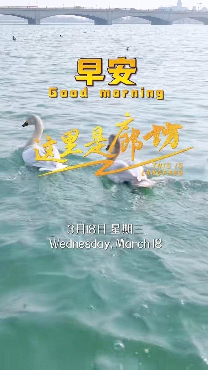 【這里是廊坊】天氣漸暖，遷徙的候鳥(niǎo)跨越山海，只為趕赴這場(chǎng)與廊坊的春之約。