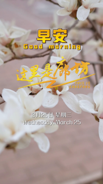 【這里是廊坊】當(dāng)一樹(shù)樹(shù)玉蘭在校園悄然綻放，粉的如霞，白的似雪，這里便成了春天最生動(dòng)的課堂。