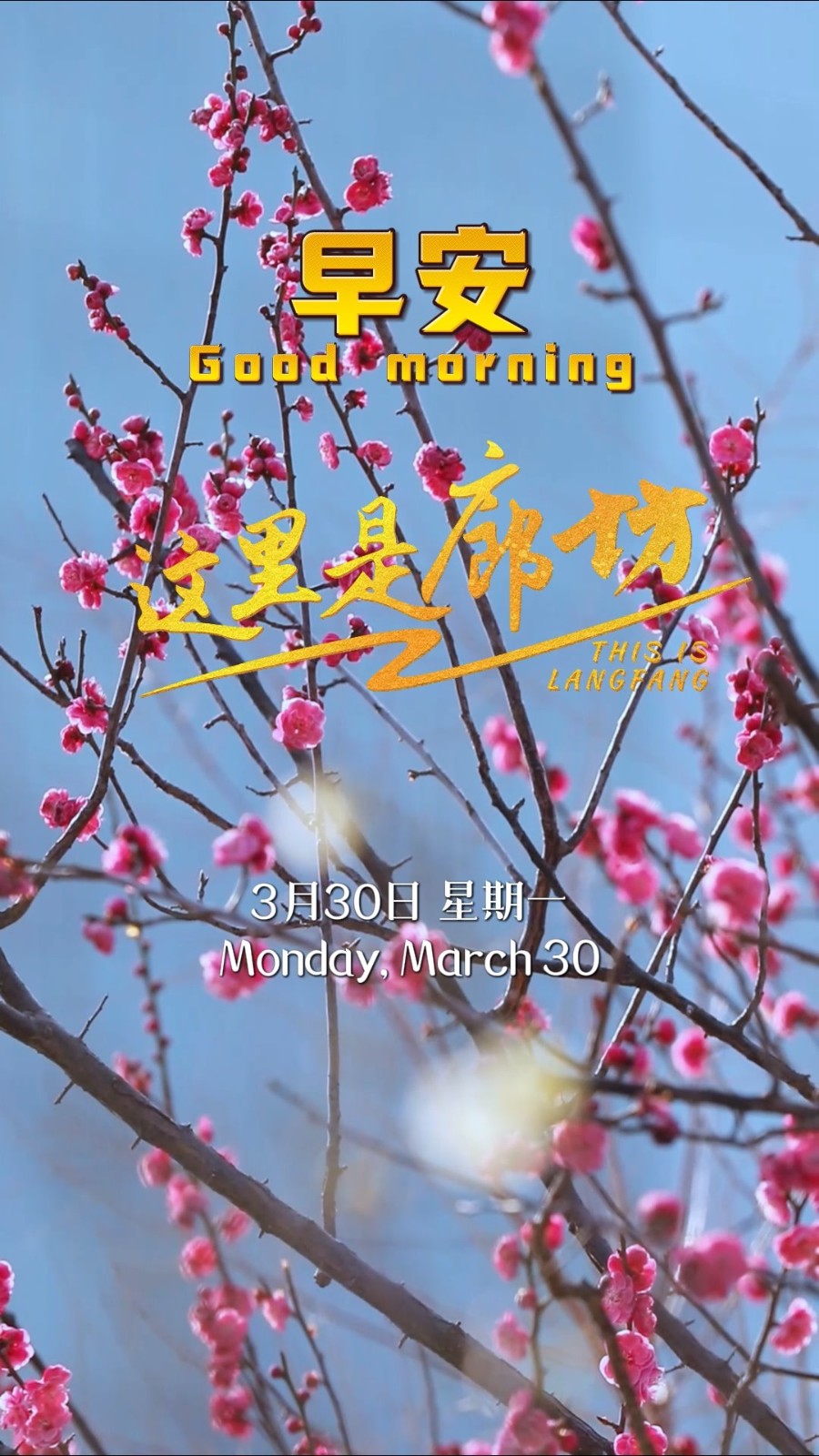 【這里是廊坊】“春會(huì)來(lái)，事會(huì)順，人會(huì)好，花會(huì)開(kāi)?！贝猴L(fēng)拂過(guò)，所有美好都會(huì)如約而來(lái)。