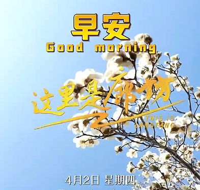 【這里是廊坊】紅墻黛瓦間，是歲月的沉淀；湖光花色里，是生活的鮮活?？匆粓?chǎng)花開(kāi)，聽(tīng)一曲風(fēng)吟，在古韻與芬芳中，找回內(nèi)心的寧?kù)o與美好。